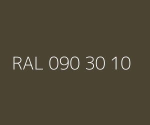 Renk RAL 090 30 10 