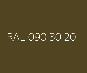 Renk RAL 090 30 20 
