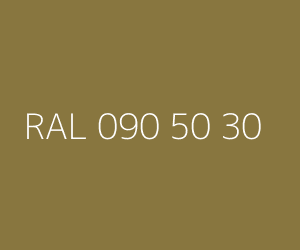 Renk RAL 090 50 30 