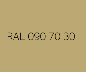 Renk RAL 090 70 30 