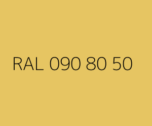 Renk RAL 090 80 50 