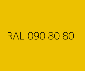 Renk RAL 090 80 80 