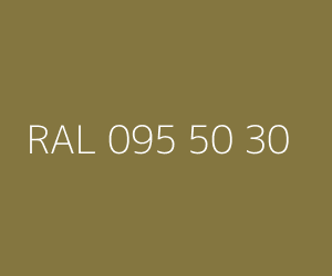 Renk RAL 095 50 30 