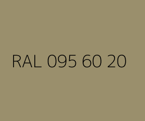 Renk RAL 095 60 20 