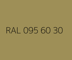Renk RAL 095 60 30 