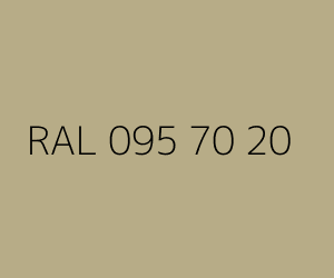 Renk RAL 095 70 20 