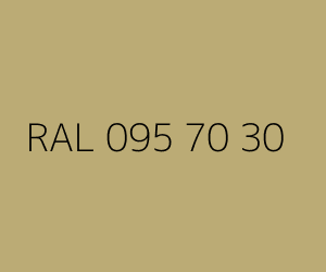 Renk RAL 095 70 30 
