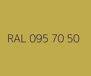 Renk RAL 095 70 50 