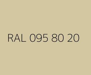 Renk RAL 095 80 20 