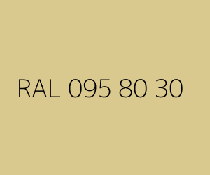 Renk RAL 095 80 30 