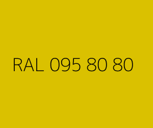 Renk RAL 095 80 80 
