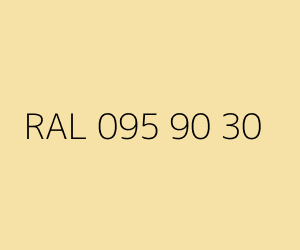 Renk RAL 095 90 30 
