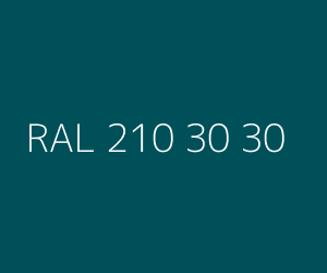 Renk RAL 210 30 30 