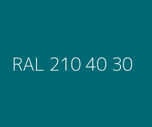 Renk RAL 210 40 30 