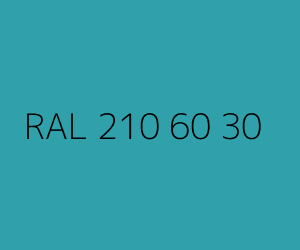 Renk RAL 210 60 30 