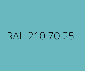 Renk RAL 210 70 25 