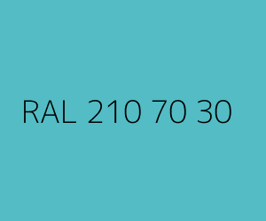 Renk RAL 210 70 30 