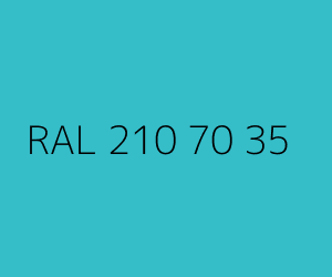 Renk RAL 210 70 35 