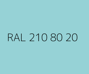 Renk RAL 210 80 20 