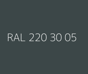 Renk RAL 220 30 05 