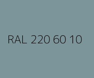 Renk RAL 220 60 10 