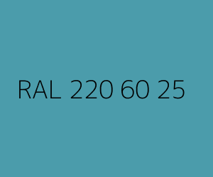 Renk RAL 220 60 25 