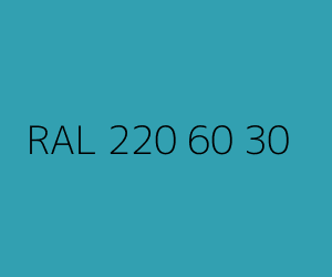 Renk RAL 220 60 30 