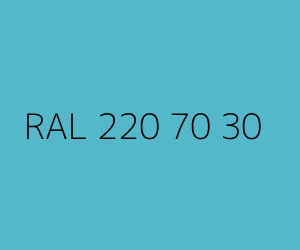 Renk RAL 220 70 30 