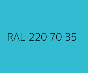 Renk RAL 220 70 35 