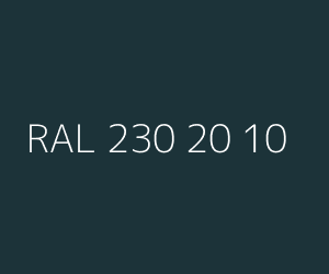 Renk RAL 230 20 10 