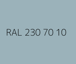 Renk RAL 230 70 10 